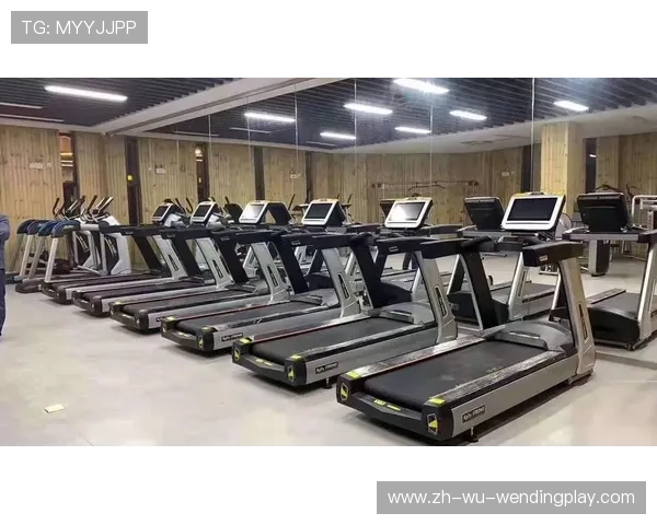 进口健身器材品牌对比分析及价格性能权衡建议